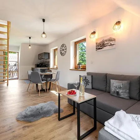 Skibowianka Appartement Zakopane