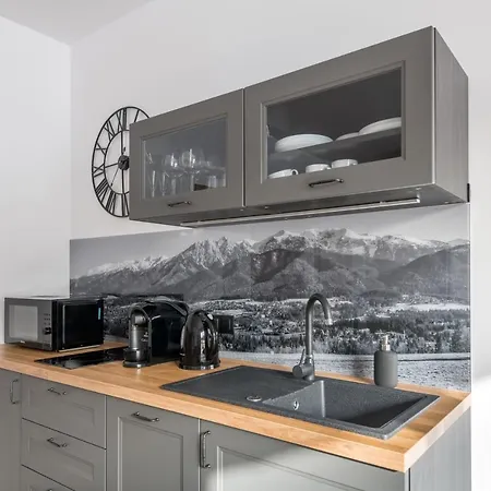 Skibowianka 아파트 자코파네